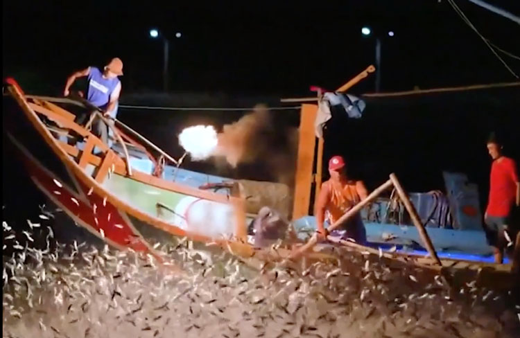 Video: Đốt lửa giữa đại dương … ngư dân bắt hàng tấn cá Mòi